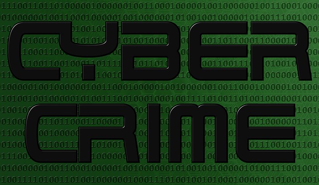 Dridex